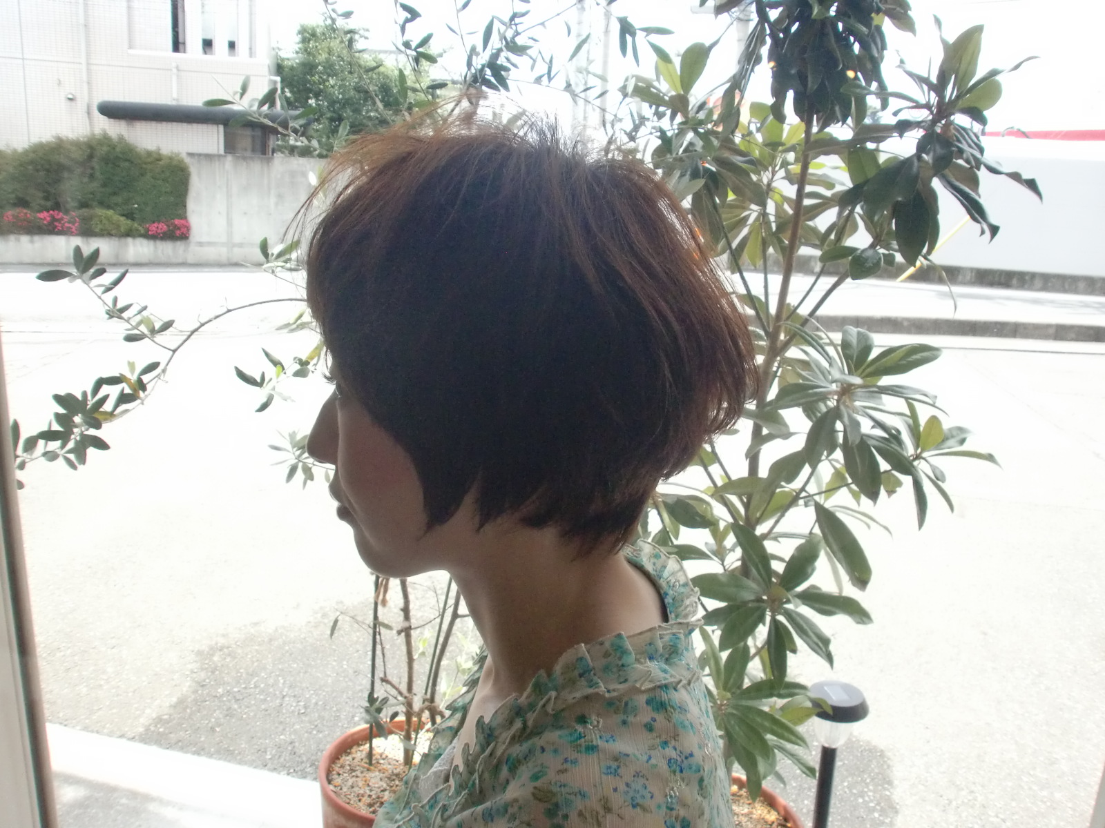 ca84a4cfdee27870fa142ec5337d372d.jpg