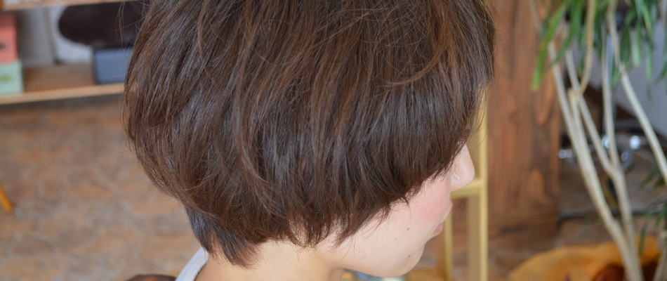 cropped-083646053daa9c6797637467d70be7b0.jpg