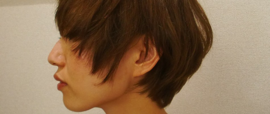 cropped-84a2e094aaad705129f2804522b836f9.jpg