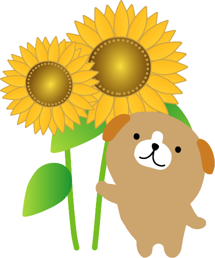夏